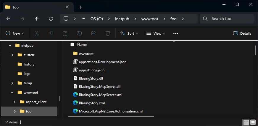 "/inetpub/wwwroot/foo" directory on the file system